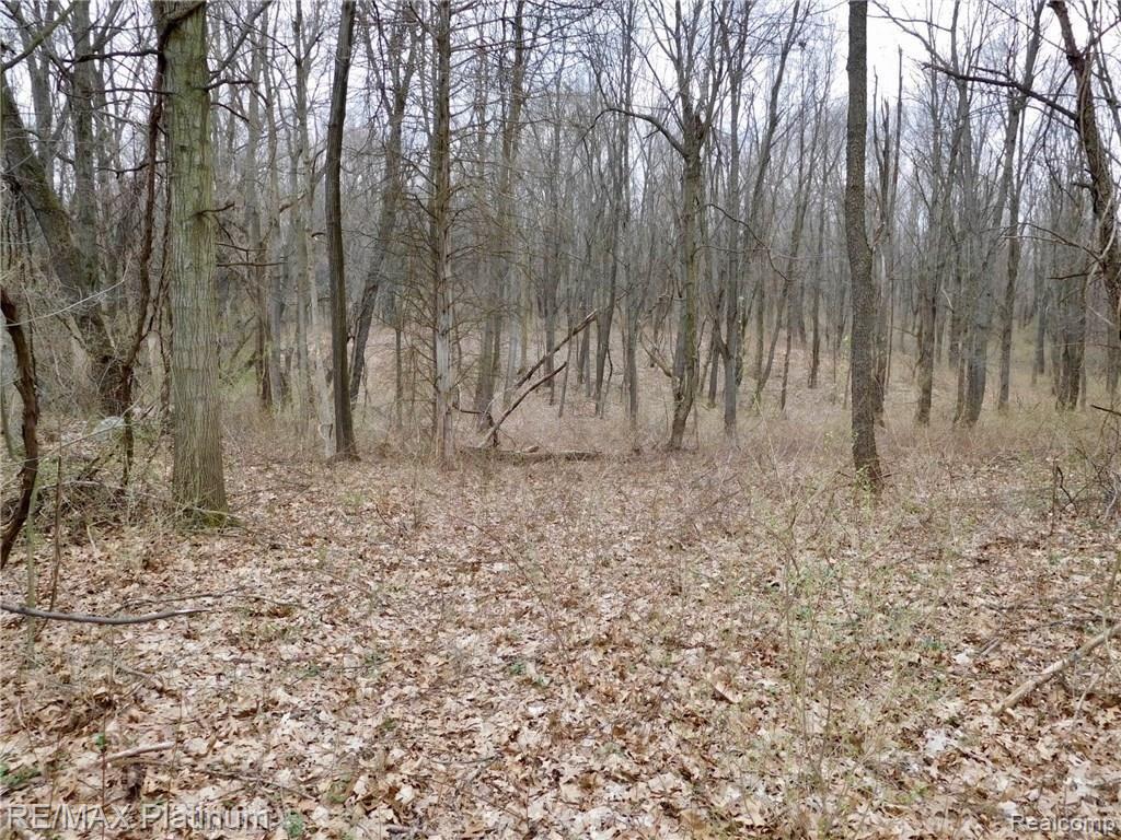 0 West Buno Road Milford, MI 48381 - Photo 4 of 28