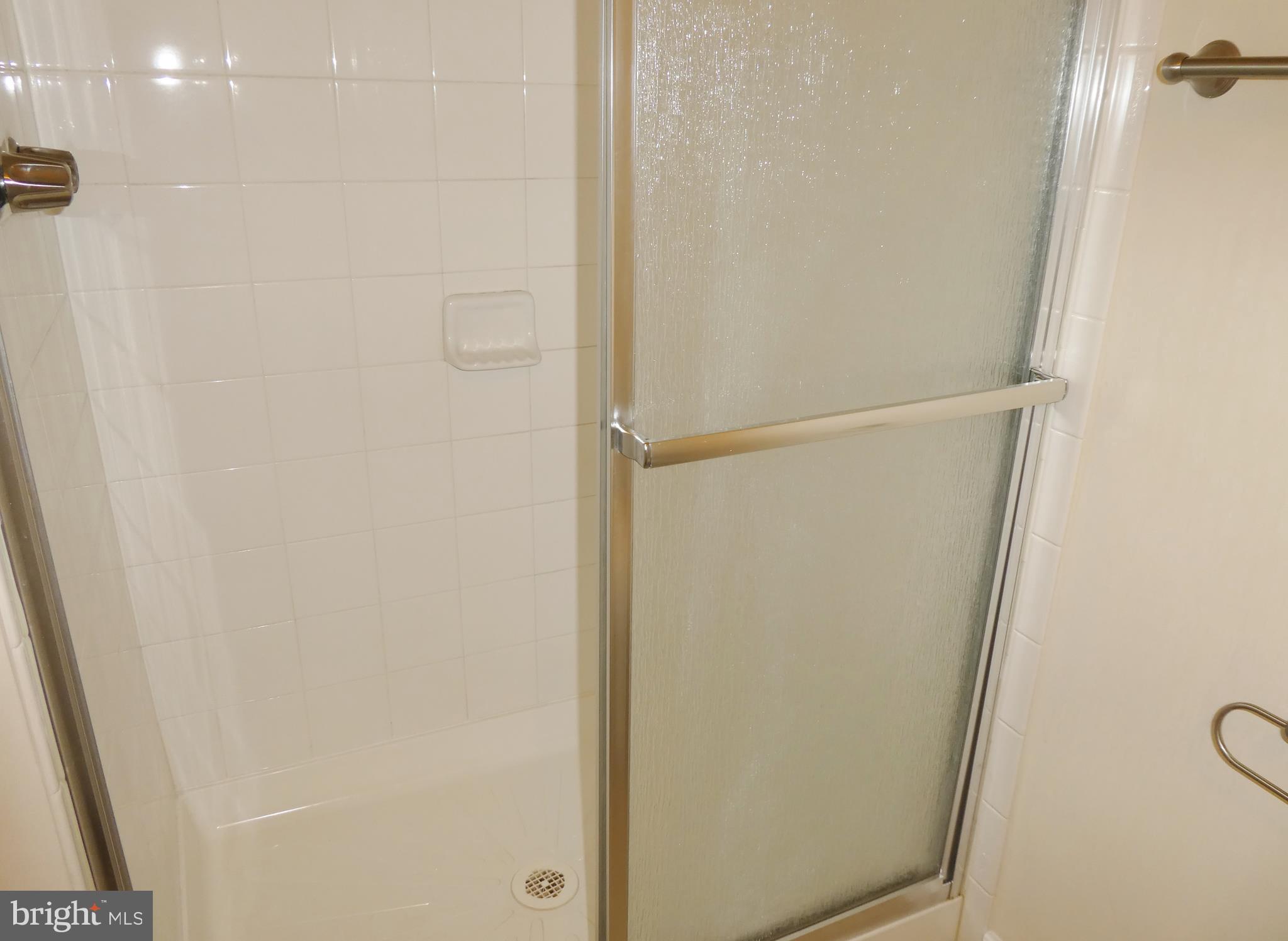 2220 Castle Rock Square, Unit 1B Reston, VA 20191 - Photo 18 of 36 Shower in Master Bath