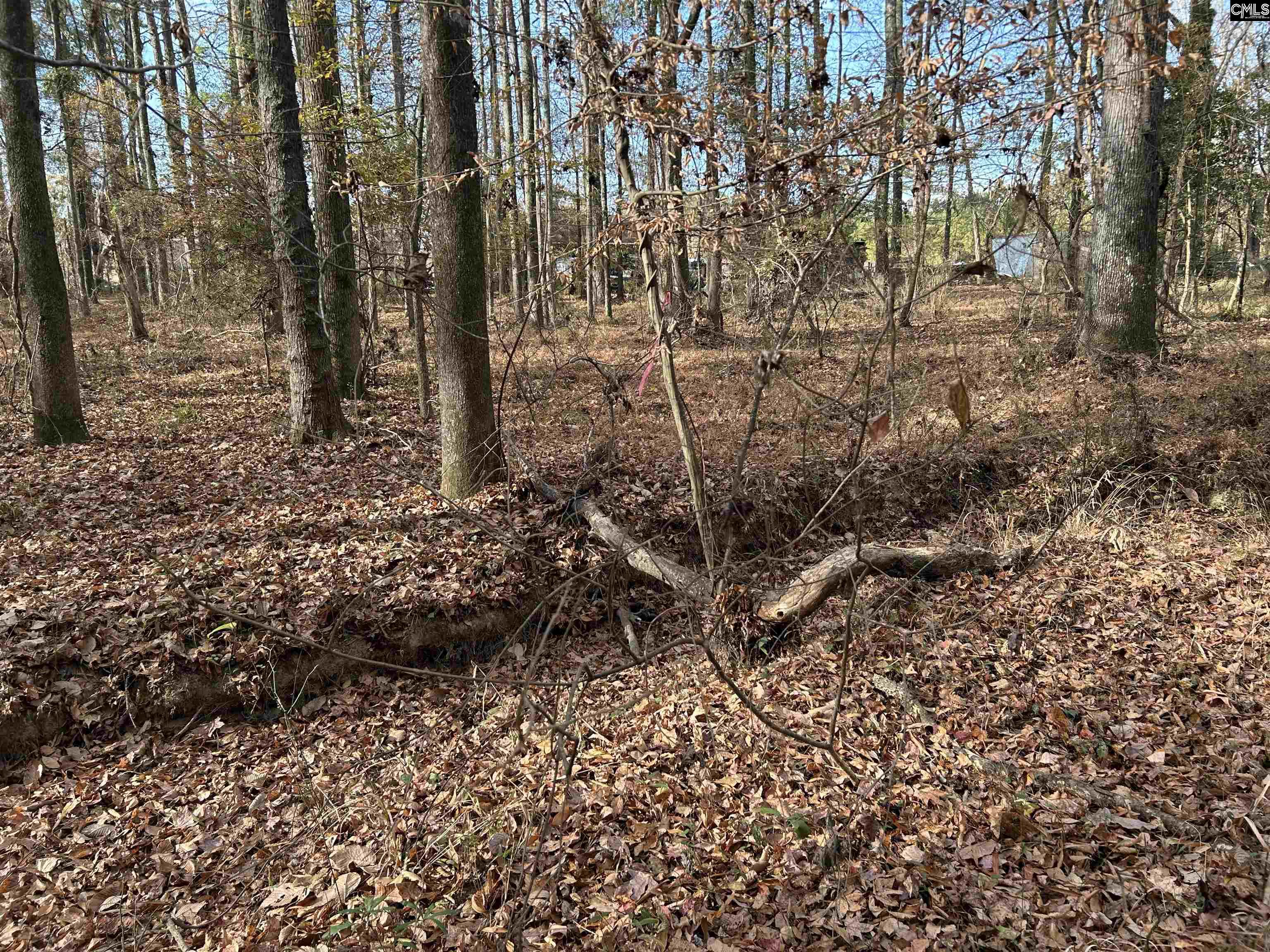 440 Paschal Road Elgin, SC 29045 - Photo 16 of 23