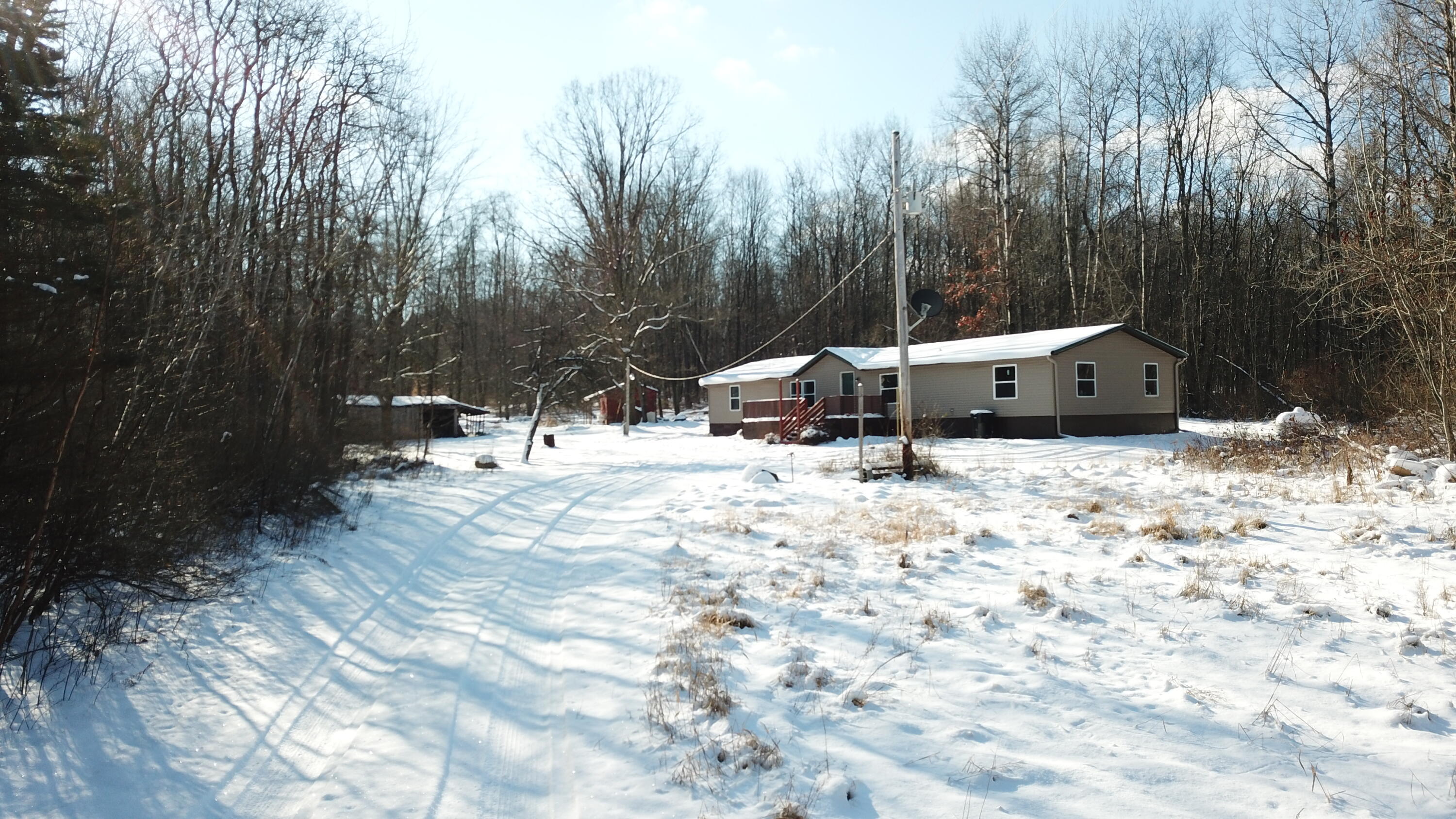 2625 Hannah Road Remus, MI 49340 - Photo 33 of 39 DJI_0192