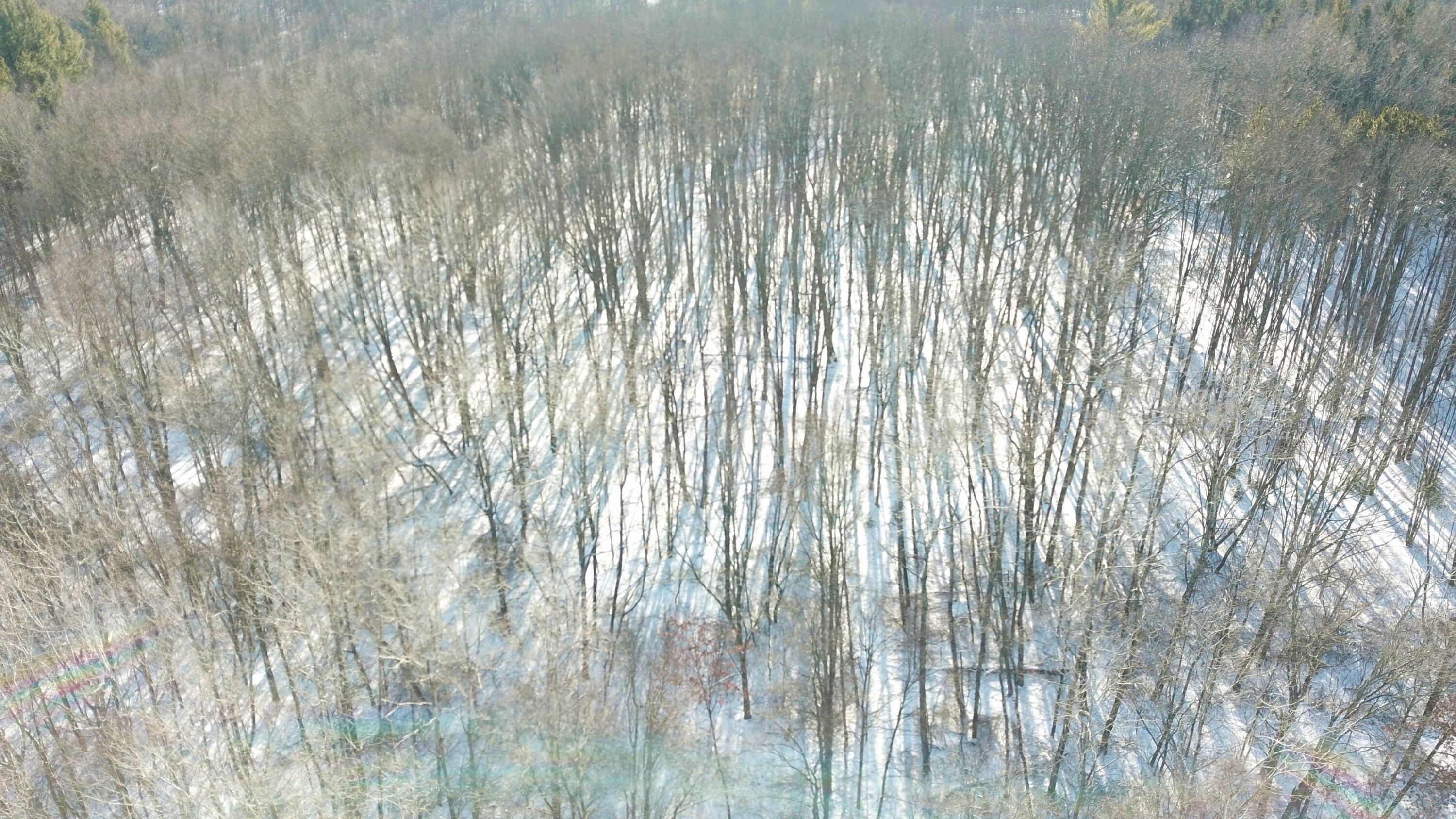 2625 Hannah Road Remus, MI 49340 - Photo 36 of 39 DJI_0188