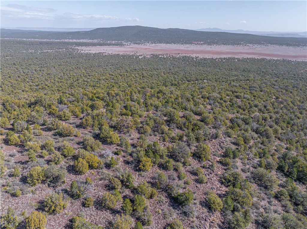 34745 West Running Shadow Road Seligman, AZ 86337 - Photo 19 of 52