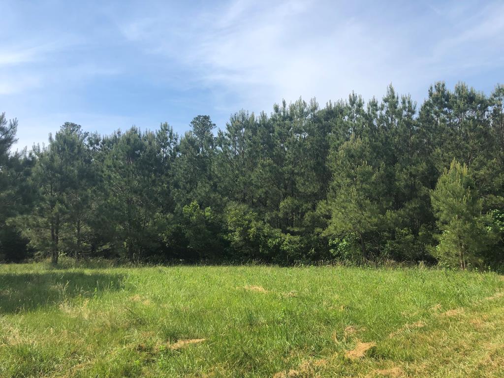 Lot 3 Green Landing Road, Unit 3 Onancock, VA 23417 - Photo 15 of 43