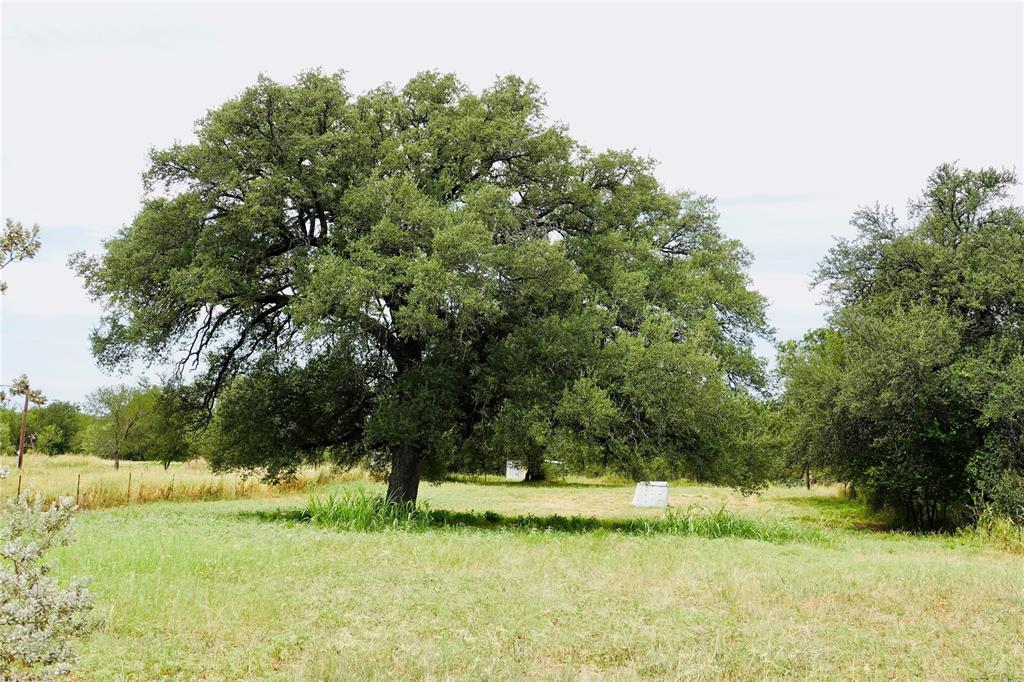 392 County Road 433 Mullin, TX 76864 - Photo 14 of 17 a view of swimming pool with a yard