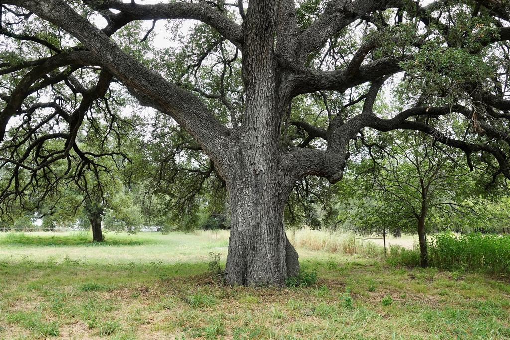 392 County Road 433 Mullin, TX 76864 - Photo 15 of 17
