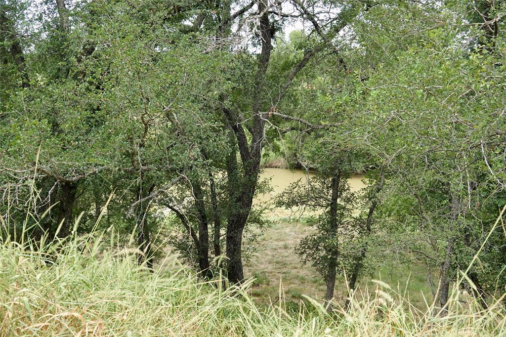 392 County Road 433 Mullin, TX 76864 - Photo 8 of 17 a view of forest