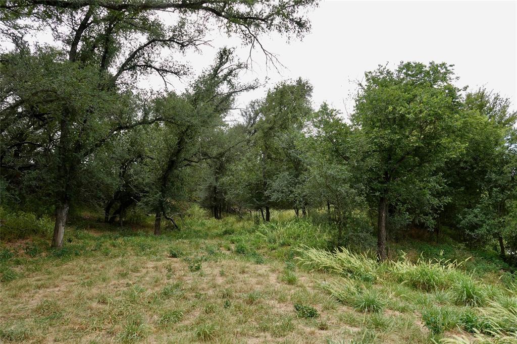 392 County Road 433 Mullin, TX 76864 - Photo 9 of 17 a view of outdoor space and green space