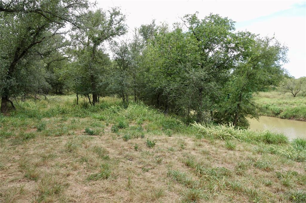 392 County Road 433 Mullin, TX 76864 - Photo 10 of 17 a big yard with lots of green space and deers