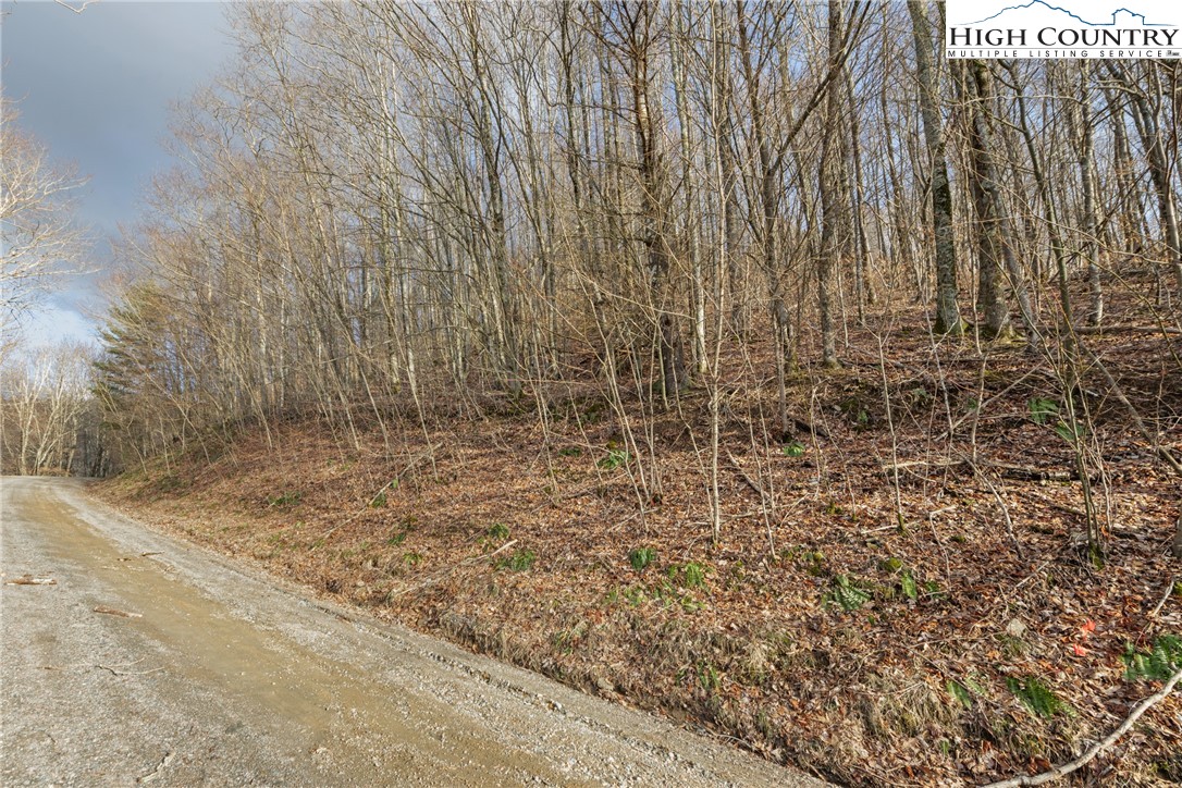 Silverleaf Road Zionville, NC 28698 - Photo 2 of 5