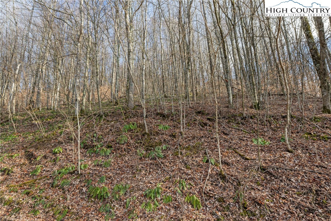 Silverleaf Road Zionville, NC 28698 - Photo 3 of 5 a bathroom with a shower curtain