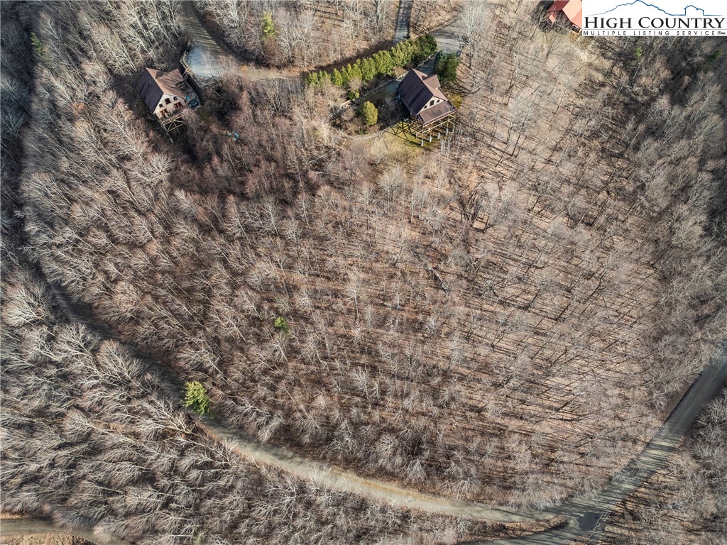 Silverleaf Road Zionville, NC 28698 - Photo 4 of 5 a backyard of a house with a dry plant