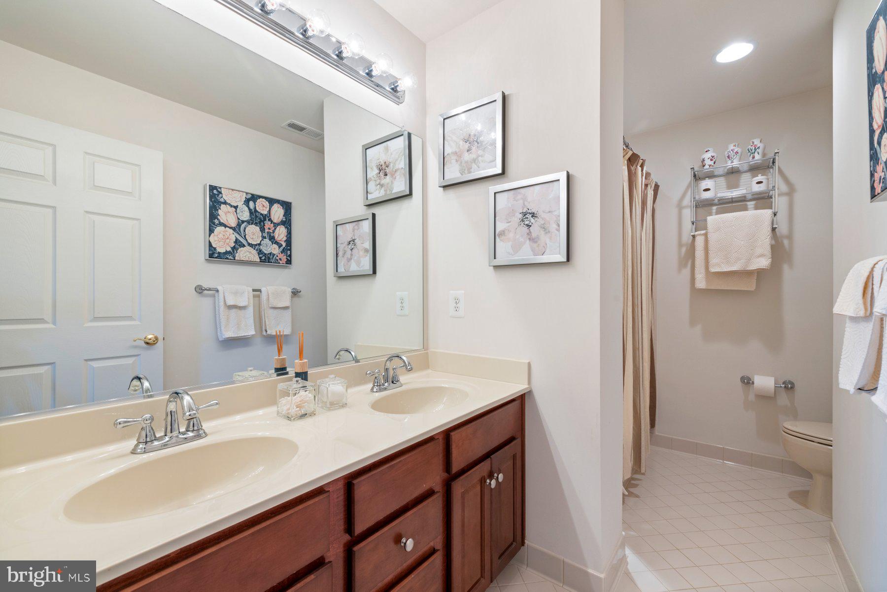 696 Reliance Drive Odenton, MD 21113 - Photo 41 of 82 Full Bathroom with dual sinks