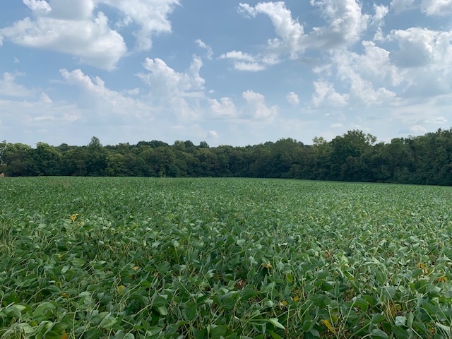 East Steelman Chapel Road Patoka, IN 47666 - Photo 1 of 4 Gallery Image 1