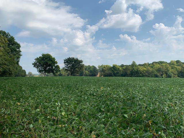 East Steelman Chapel Road Patoka, IN 47666 - Photo 2 of 4 Gallery Image 2