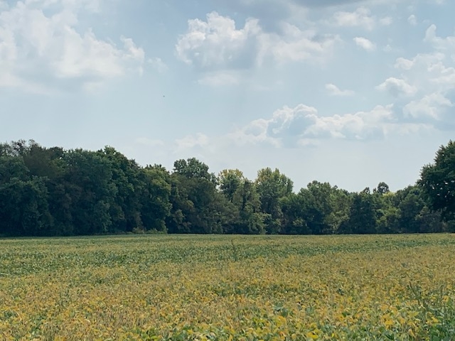 East Steelman Chapel Road Patoka, IN 47666 - Photo 4 of 4 Gallery Image 4