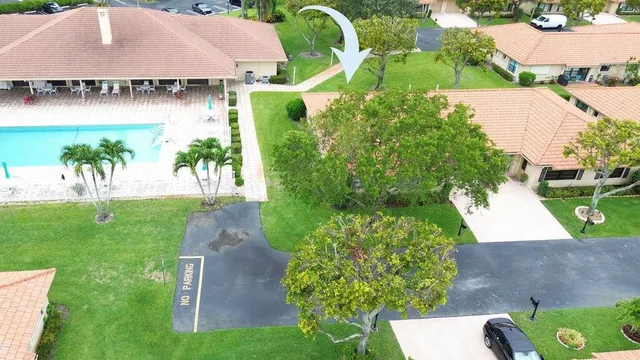 a backyard with potted plants and a large tree