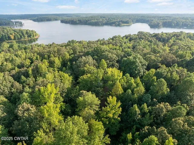 a view of a lake with a city