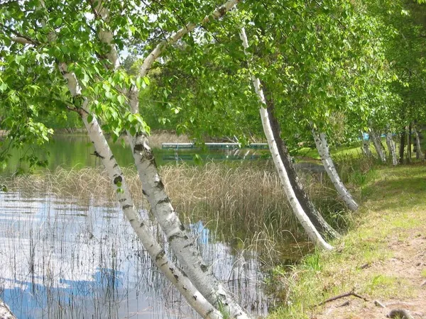 $404,900 | W8804 Deep Lake Road, Minong, WI 54859