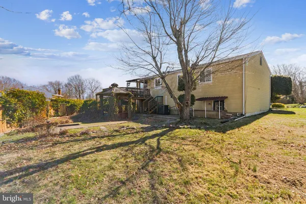 a view of a yard with a large tree