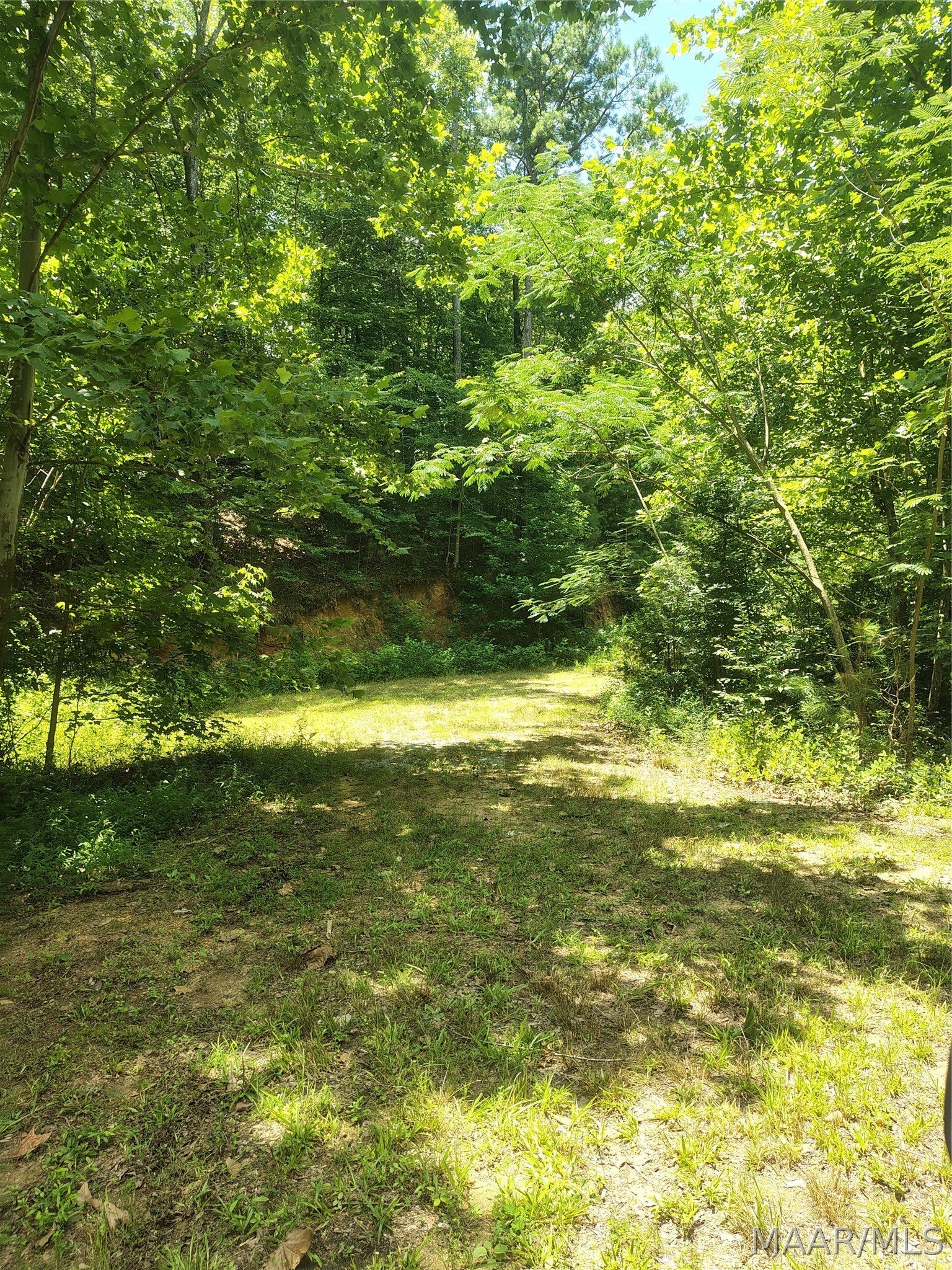 956 Bowden Hill Road Titus, AL 36080 - Photo 5 of 7 Gallery Image 5