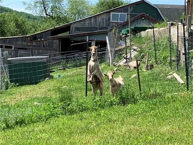 $185,000 | 8896 South Hamilton Road, Hamilton, NY 13332