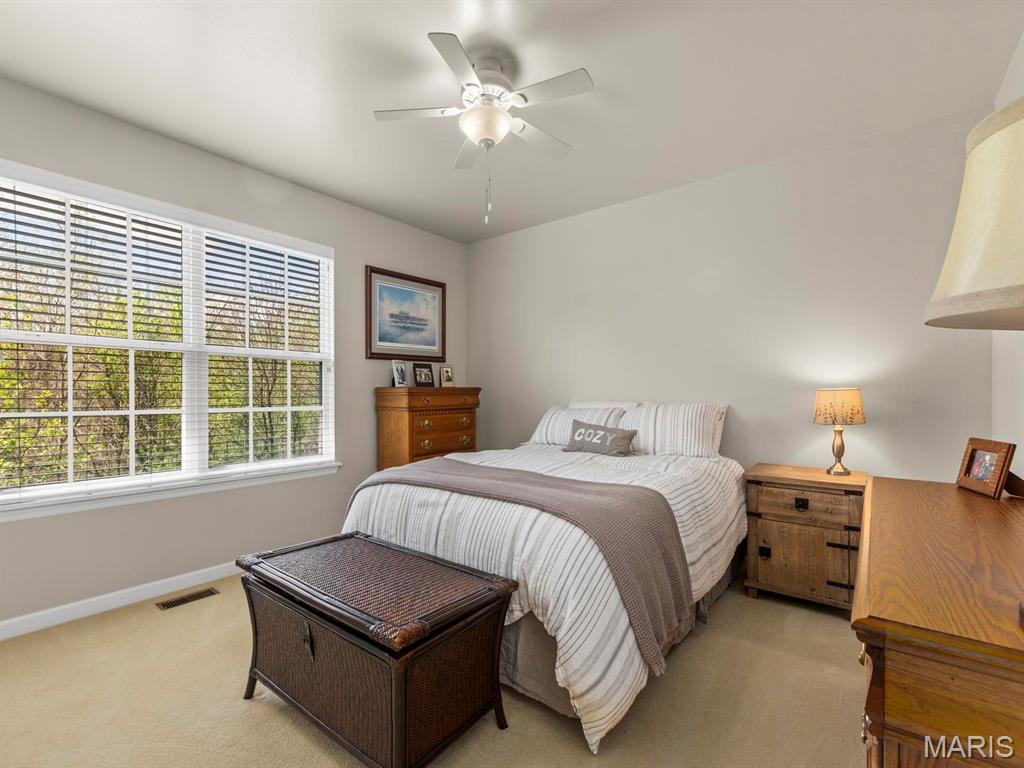 1509 Cedar Ridge Drive O'Fallon, IL 62269 - Photo 27 of 53 Gallery Image 27
