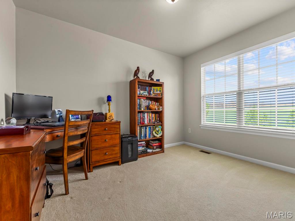 1509 Cedar Ridge Drive O'Fallon, IL 62269 - Photo 29 of 53 Gallery Image 29