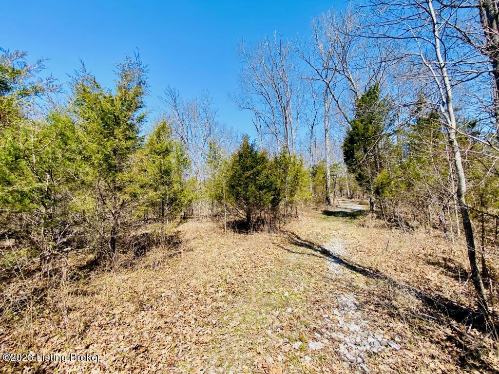 2723 Tatum Ridge Road Willisburg, KY 40078 - Photo 32 of 42 032_79791081