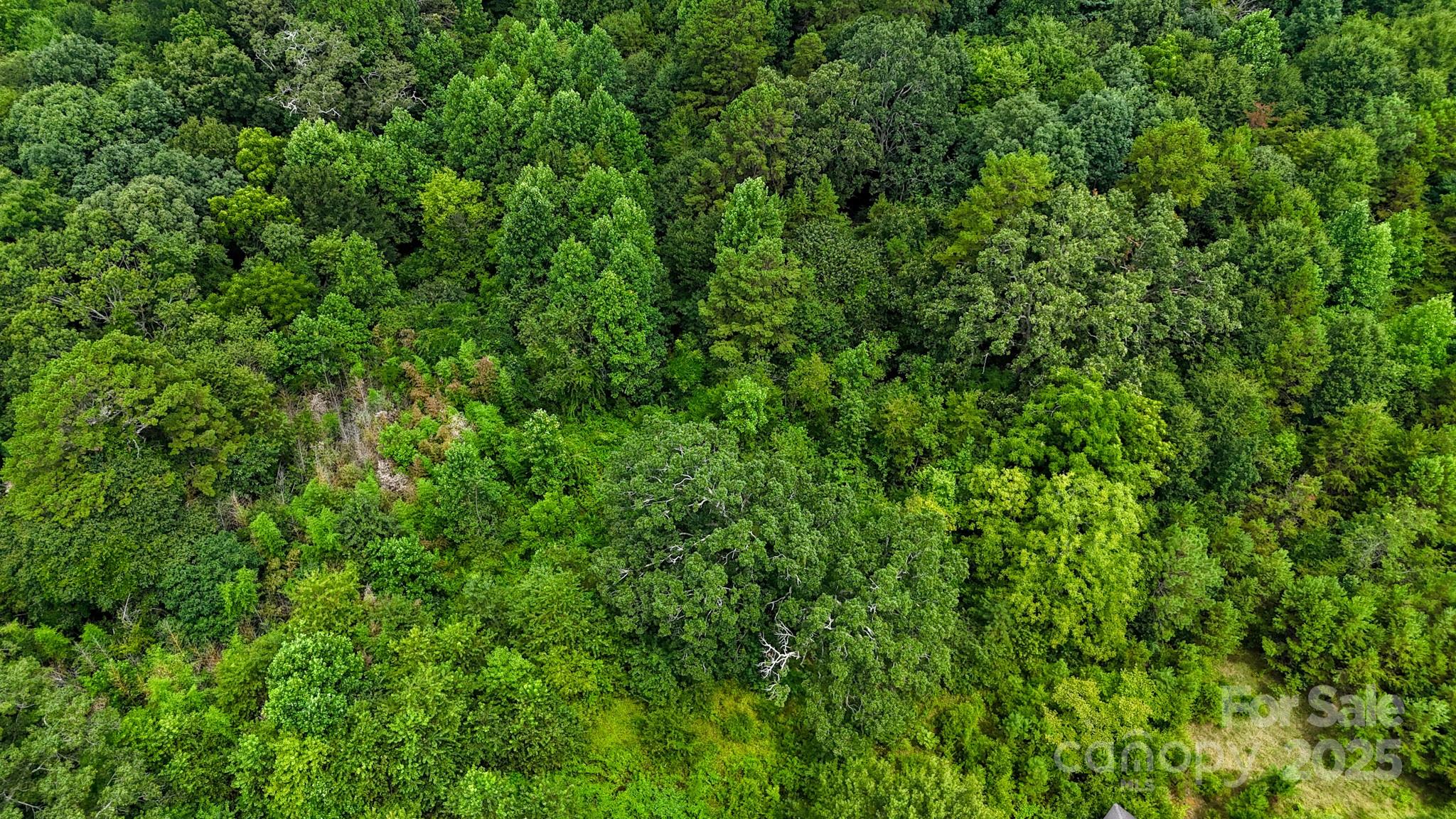 0 Kool Park Road Northeast Hickory, NC 28601 - Photo 11 of 18