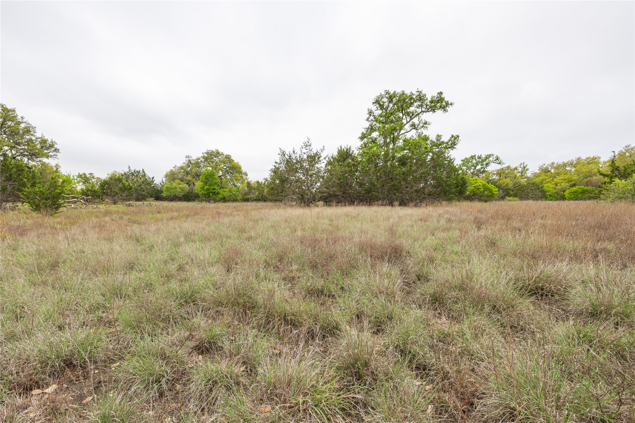 Tbd Tbd Logan's Way Blanco, TX 78606 - Photo 4 of 25 View of nature