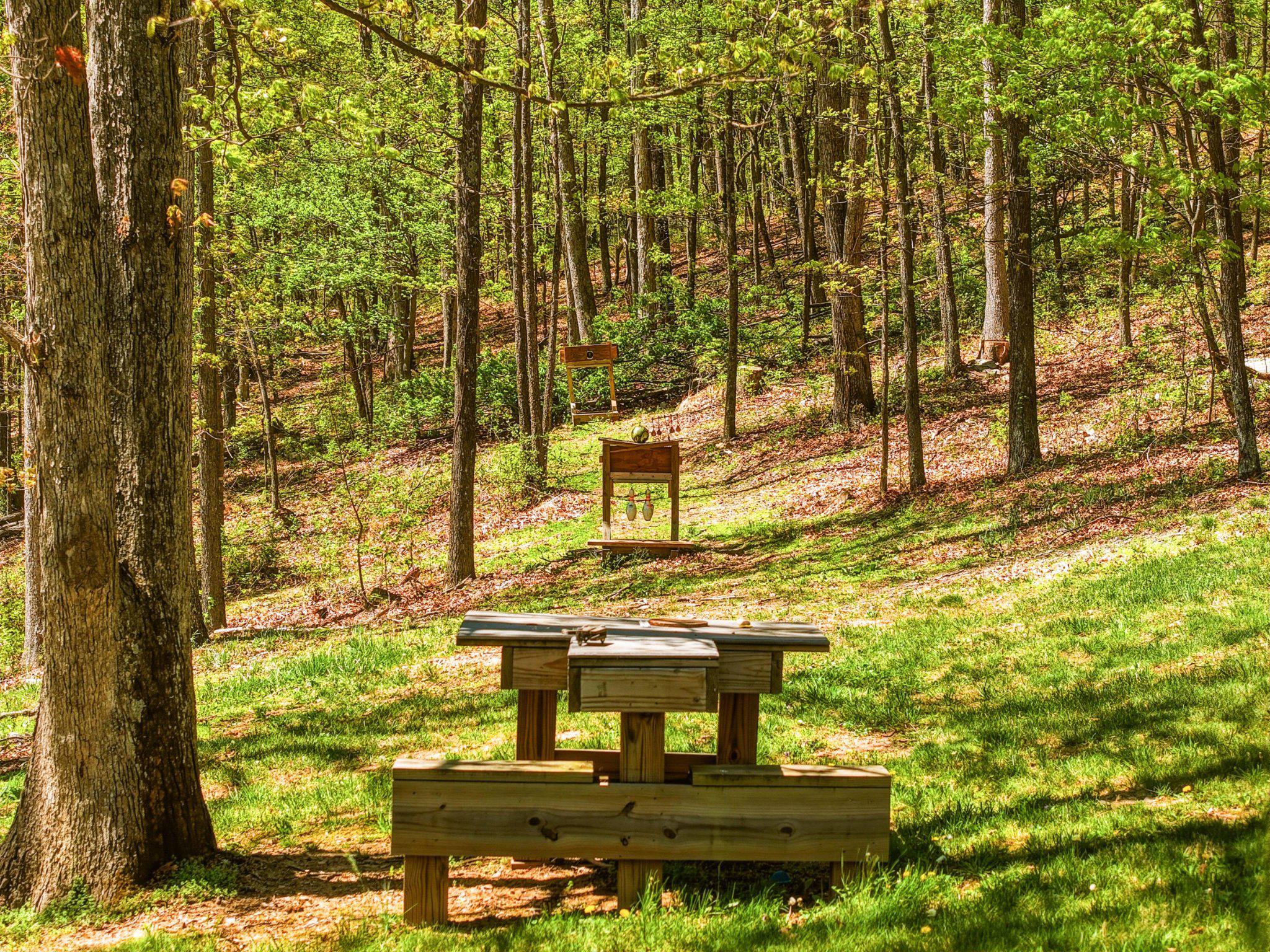 1034 Hepner Road Mount Jackson, VA 22842 - Photo 10 of 62 Enjoy outdoor activites