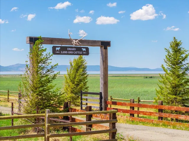 a view of an ocean and beach