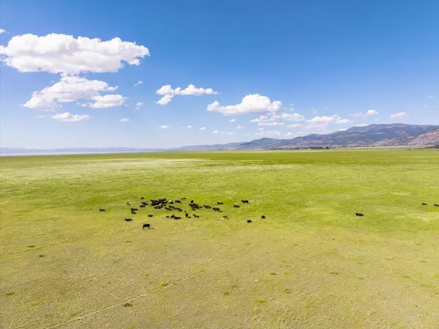 a view of a house with swimming pool and porch