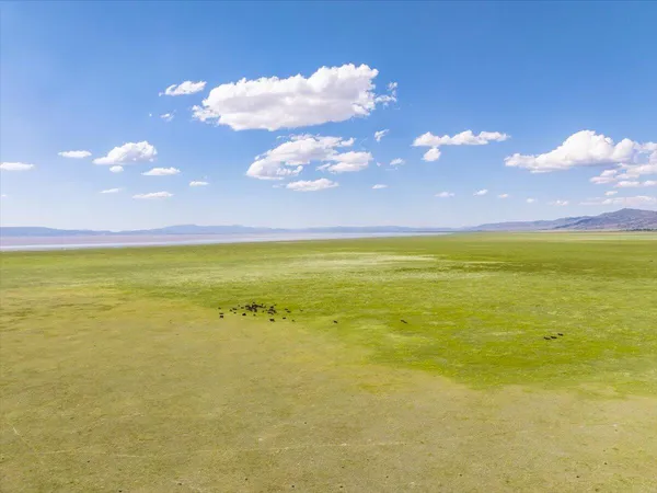 $4,200,000 | 56087 Highway 395, Davis Creek, CA 96108