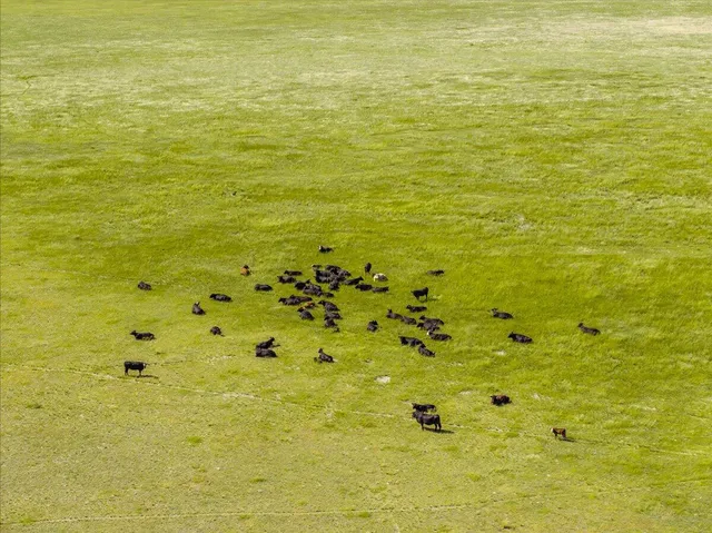 $4,200,000 | 56087 Highway 395, Davis Creek, CA 96108