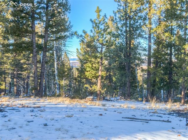 1306 Singletree Road Hartsel, CO 80449 - Photo 31 of 32