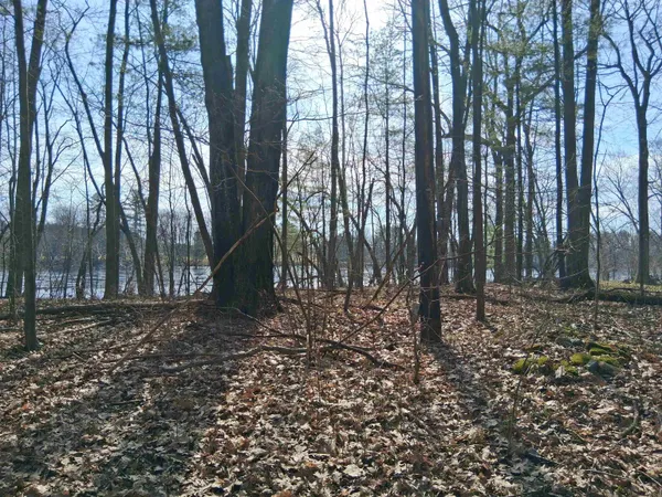 $79,900 | Twin Pine Lane, Porterfield, WI 54159