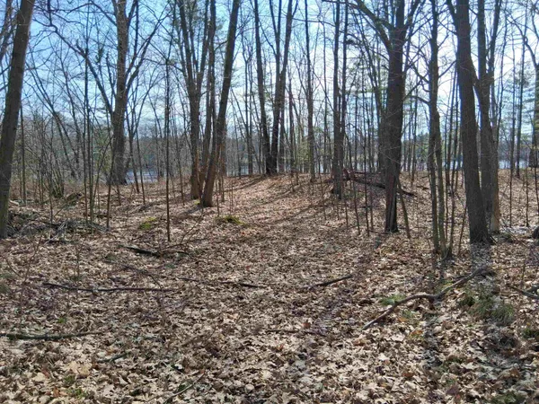 $79,900 | Twin Pine Lane, Porterfield, WI 54159