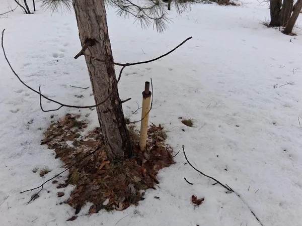 $79,900 | Twin Pine Lane, Porterfield, WI 54159