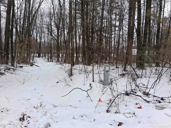 $79,900 | Twin Pine Lane, Porterfield, WI 54159
