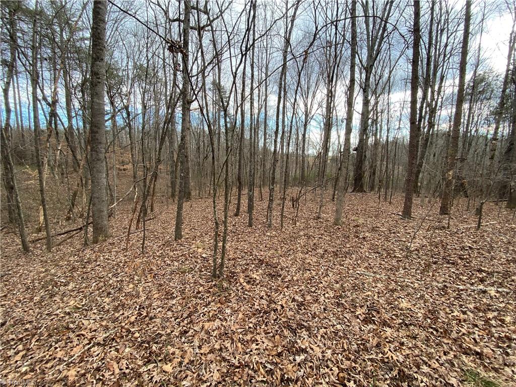 0 Oak Ridge Drive King, NC 27021 - Photo 2 of 3