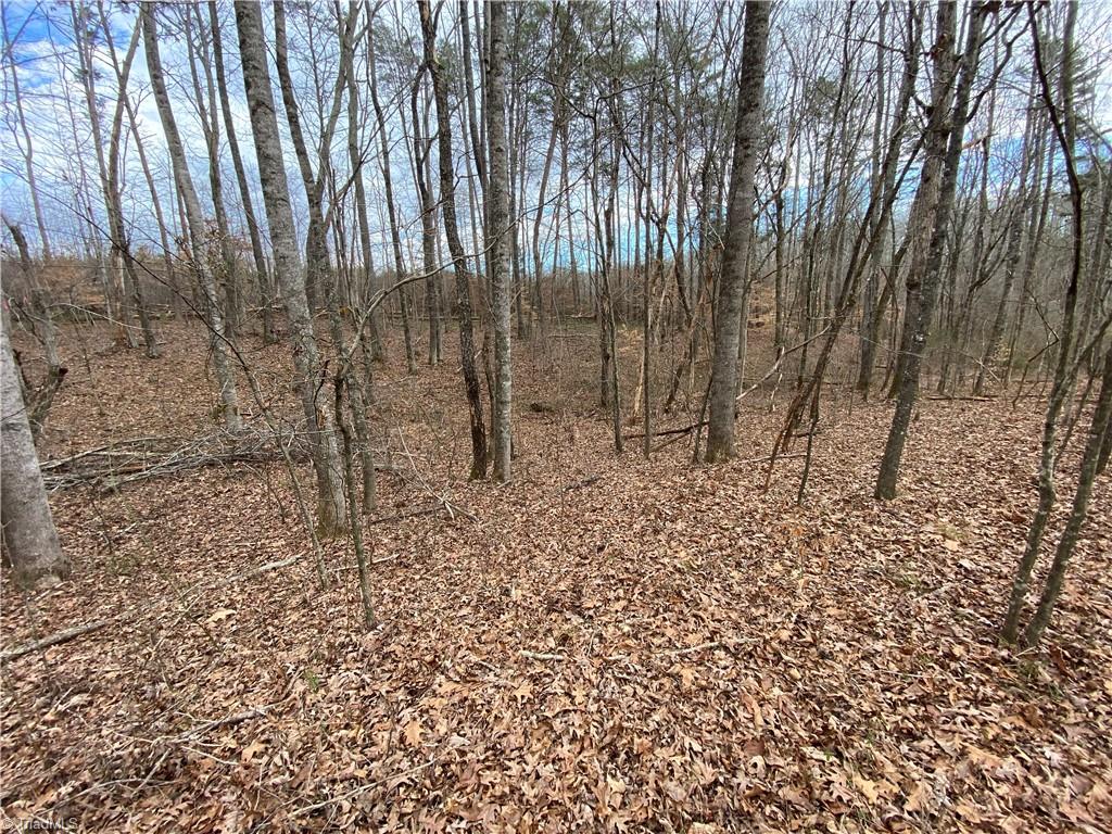 0 Oak Ridge Drive King, NC 27021 - Photo 3 of 3