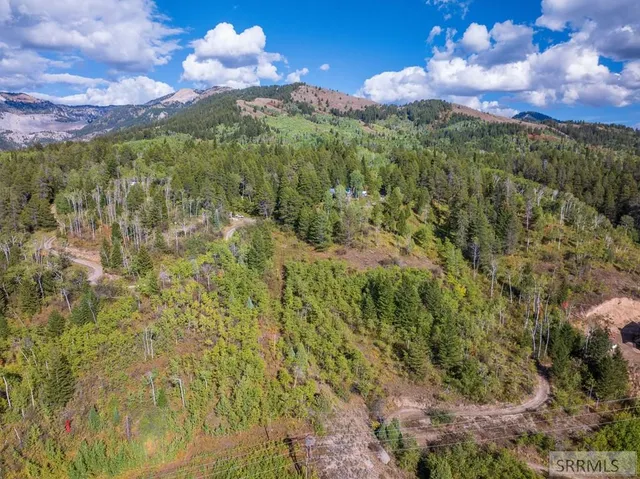 $249,999 | Tbd Kelloggs Lane, Irwin, ID 83428