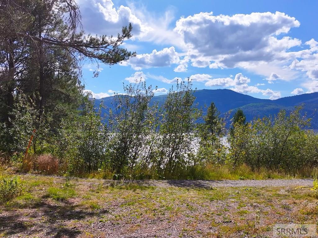 Tbd Kelloggs Lane Irwin, ID 83428 - Photo 5 of 16
