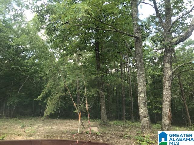 Mountain View Vance, AL 35490 - Photo 24 of 28