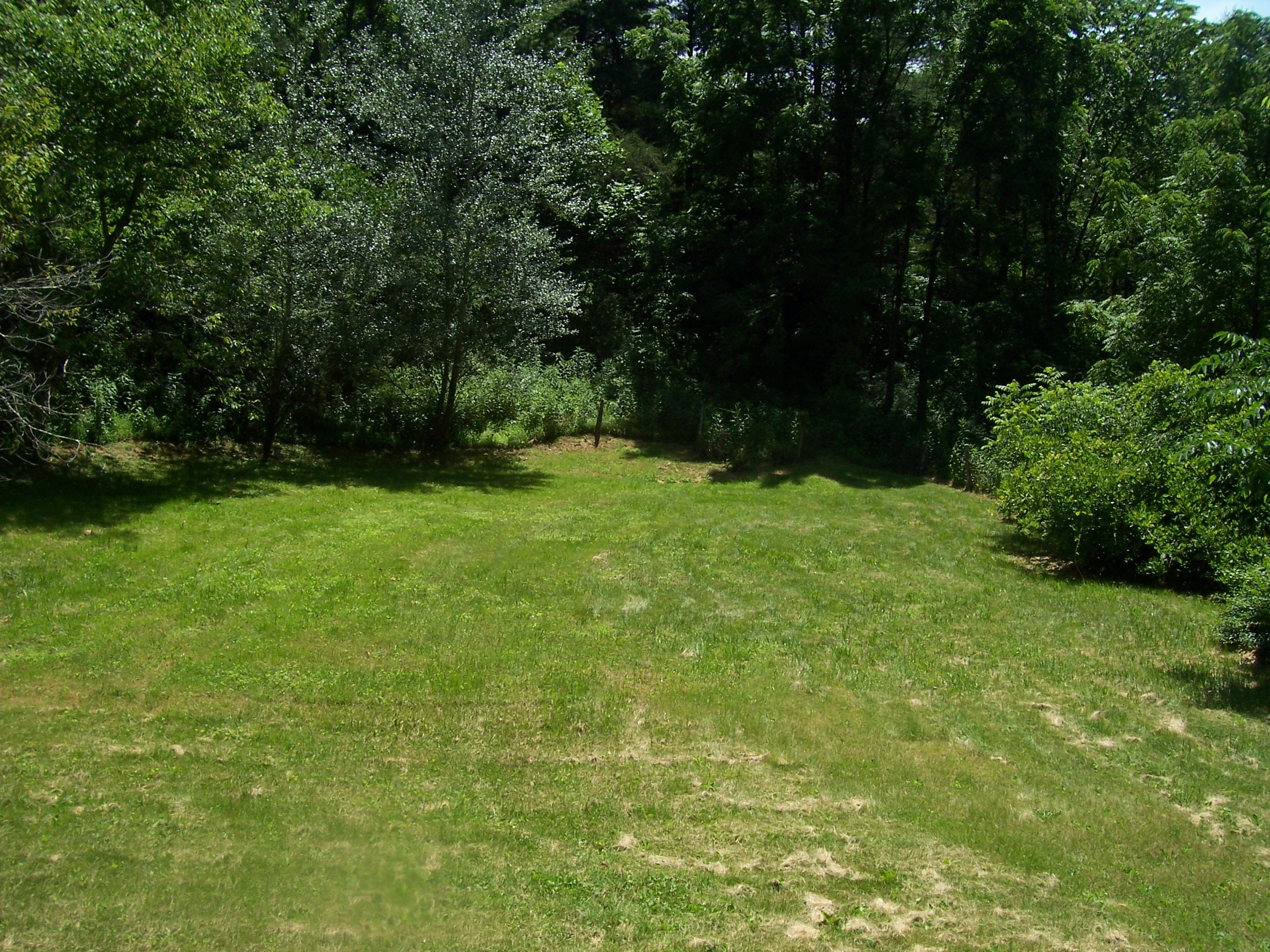 4103 Rich Patch Road Covington, VA 24426 - Photo 14 of 30 100_8738