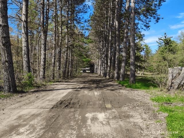6230 Shellenbarger Road Hale, MI 48739 - Photo 35 of 46