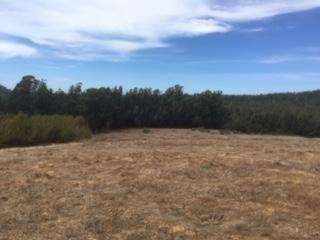 0 Cannon Road Aromas, CA 95004 - Photo 2 of 7 Gallery Image 2
