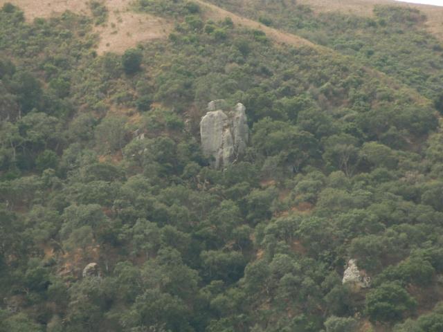 0 Cannon Road Aromas, CA 95004 - Photo 4 of 7 Gallery Image 4