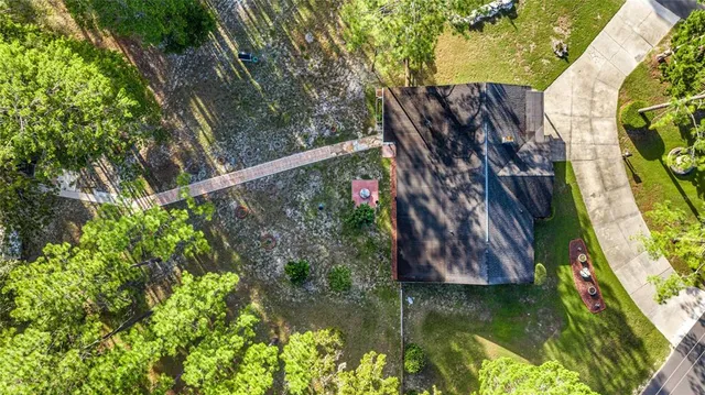 a view of a yard with plants